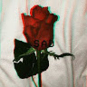 Meet your Posher, Ricky